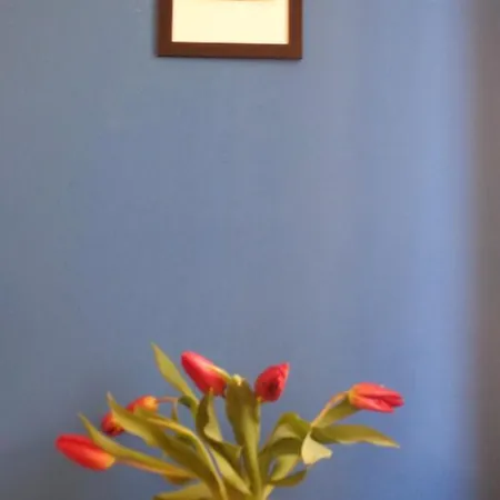 Apartmán Ca Antonia *